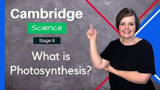 Stage 9 Science  Photosynthesis Overview [upl. by Ieppet]