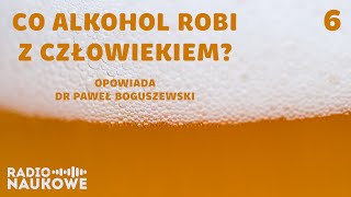 Naukowy przewodnik po imprezie czyli dlaczego alkohol zmienia nasze zachowanie  dr P Boguszewski [upl. by Inram]