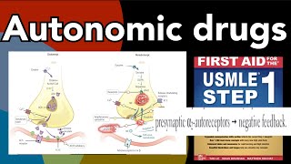 Autonomic drugs amp their mechanism of actions Amphetamines Reserpine Botulinum etc in HindiUrdu [upl. by Greyson992]