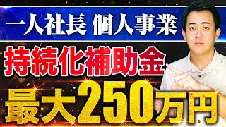 【2024年最新】従業員0個人事業主一人社長でも使える小規模事業者持続化補助金を中小企業診断士が徹底解説従業員が少ない中小企業小規模事業者向け支援策 [upl. by Koenraad]