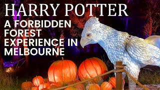 Harry Potter A Forbidden Forest Experience in Melbourne [upl. by Coretta]