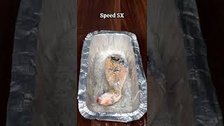 Roasting chicken Leg Aluminium cook less with Molten experiment science [upl. by Aisenat]