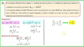 Optimización de funciones de varias variables con restricciones [upl. by Ariela]