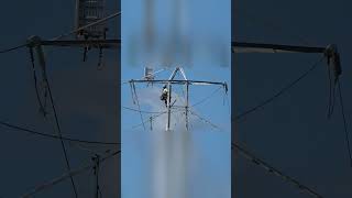 Viral Helicopter Hook Accidently Snags Tower Catching it Like a Bug in a Web Lineman Saves Day [upl. by Millian48]