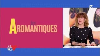 les aromantiques impossible de tomber amoureuxeuse [upl. by Ranice]