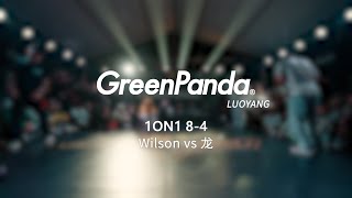 Wilson vs 龙  84  1on1  Green Panda Festival 2024 Luoyang [upl. by Ahsinert106]