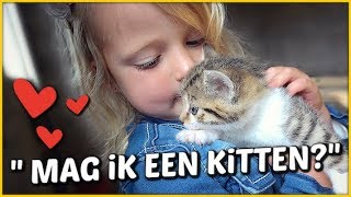 LOGEREN BiJ DE BOER 🐱 met jonge kittens  Bellinga Familie Vloggers 1386 [upl. by Nevets226]