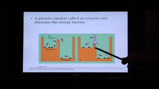 Biology Help Biology 123 Chapter 5 Energy and Metabolism [upl. by Misa]