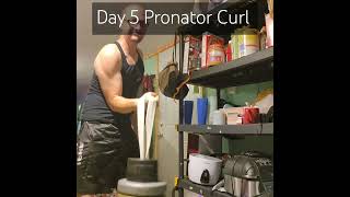 Day 5 Pronator Curl armwrestler armwrestling fitness fitnessmotivation fyp foryou [upl. by Beckett]