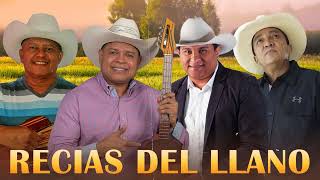 🐂LLANERAS RECIAS🐂Julio Pantoja Jorge Guerrero Mayar Tovar Fernando Tovar Ali Cabello En Vivo [upl. by Amekahs]