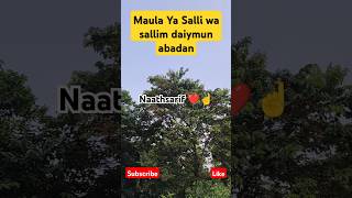 Maula या सल्ली वा सल्लीम Naathsarif ☝️shorts youtubeshorts naatsharif islam islamic [upl. by Crescin451]