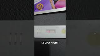 TTC 1  13 DPO Night  Pregnancy test  Faint line  21 Sept 2024  Baby Bump ttcjourney [upl. by Latsyrd]