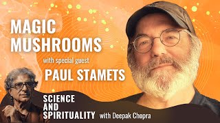 Magic Mushrooms with special guest Paul Stamets [upl. by Ayotl1]