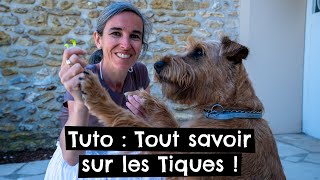 Tuto  Tout savoir sur les Tiques [upl. by Targett]