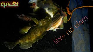 eps35 NightSpearfishing Bucas Grande Island SDN [upl. by Phillis462]