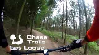 Cannock Chase Trails  Follow the Dog  Let Loose [upl. by Daniala]