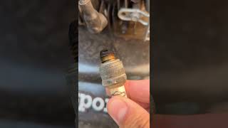 Remove and clean the Masport Lawn Mower Spark Plug [upl. by Tavey]