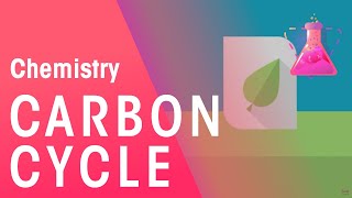 What Is The Carbon Cycle  Part 1 Environmental Chemistry  Chemistry  FuseSchool [upl. by Katsuyama356]