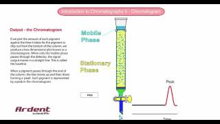 Introduction to Chromatography 5  Chromatogram [upl. by Ecart]