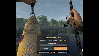 Fishing Planet  How to catch Unique Brown Trout at SaintCroix Lake Michigan [upl. by Tonye]