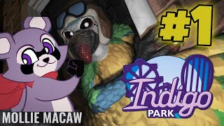 🦝Indigo Park Chapter 1🦜 Индигопарк Глава 1 ЕНОТ ЕНОТ ЕНОТ🦝 [upl. by Etnaud]