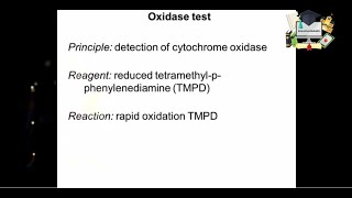 Oxidase test Handson lab [upl. by Eemiaj920]