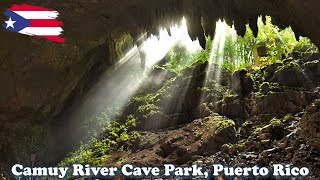 Camuy River Cave National Park Exploring Puerto Rico [upl. by Bundy]