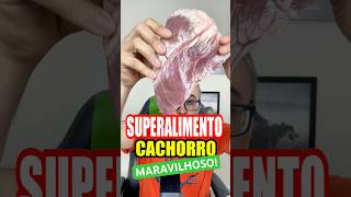 ❇️SUPER ALIMENTO para cachorro cachorro alimentacaonaturalparacaes goldenretriever pitbull pet [upl. by Yacov757]