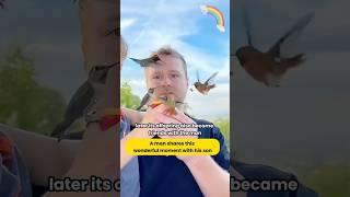 He must be a very loving dad shortvideo Hummingbird Animals Healingquotshorts [upl. by Lekar]