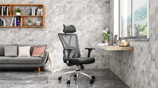 Ticova Ergonomic Office Chair Review Is It Any Good [upl. by Waring]