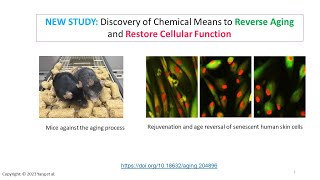 New discovery Chemical Means to Reverse Aging and Restore Cellular Function [upl. by Adan]