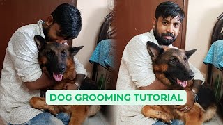 Dog Grooming Tutorial  Step by Step [upl. by Doone]