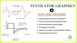 Ventilator Waveforms  Flow time waveform interpretation  Scalers [upl. by Sprage]