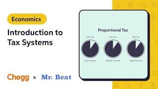 Introduction to Tax Systems Ft Mr Beat [upl. by Yramliw]