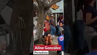 CDMX ya no es santuario para migrantes MSF [upl. by Melan]