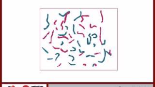 Genetics  What are the Karyogram and Ideogram Part 4 of 6 [upl. by Ardnuaed]