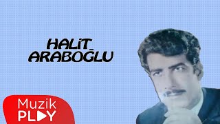 Sevda Yüklü Kervanlar  Halit Araboğlu Official Audio [upl. by Hull]