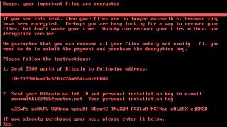 COMO EJECUTAR UNA MUESTRA DEL RANSOMWARE PETWRAP  PETYA NOTPETYA EN WINDOWS [upl. by Ceciley]