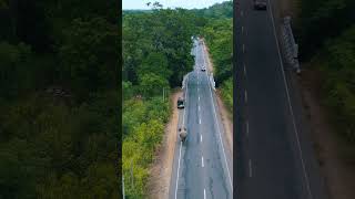 Elephant attack Habarana  Sri Lanka [upl. by Zak156]