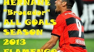 Hernane quotBrocadorquot  Todos os 36 gols em 2013 HD  All Goals 2013  Flamengo  Best Striker  Brazil [upl. by Ranson125]