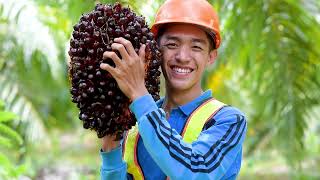 Smallholders The Heart of Sustainable Palm Oil [upl. by Anallise690]