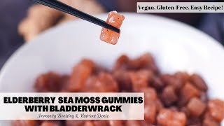 Elderberry Ginger Sea Moss Gummies with Bladderwrack  Easy Immunity Boosting Recipe Vegan  GF [upl. by Dyol]