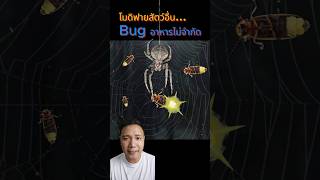 ช่างไฟแท้ๆ 😅😂 wonderwhale ความรู้ insects สาระ [upl. by Mills]