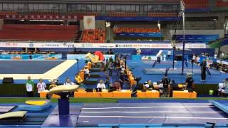 Gymnastics Worlds SlowMo Handspring Double Front [upl. by Wawro47]