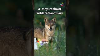 Top Wildlife Sanctuary In Maharashtra [upl. by Ydnes]