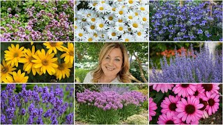 10 Perennials That Look GREAT in the HEAT 🌸🌼🌿  Garden Answer [upl. by Auhs]