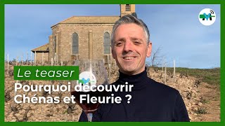 Quel vignoble allonsnous découvrir en février sur Médiavino [upl. by Kalman]