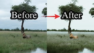 How to Get the PERFECT Edit ricardobrazb  Lightroom Photo Editing Tutorial For Instagram [upl. by Eicaj]