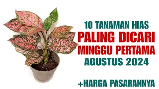 10 Tanaman Hias Paling Dicari di Minggu Pertama AGUSTUS 2024 [upl. by Eizdnil]