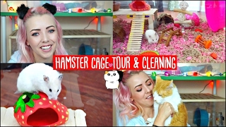 HAMSTER CAGE CLEANING amp CAGE TOUR  My Hamster is chewing her Cage😭 [upl. by Ardath]